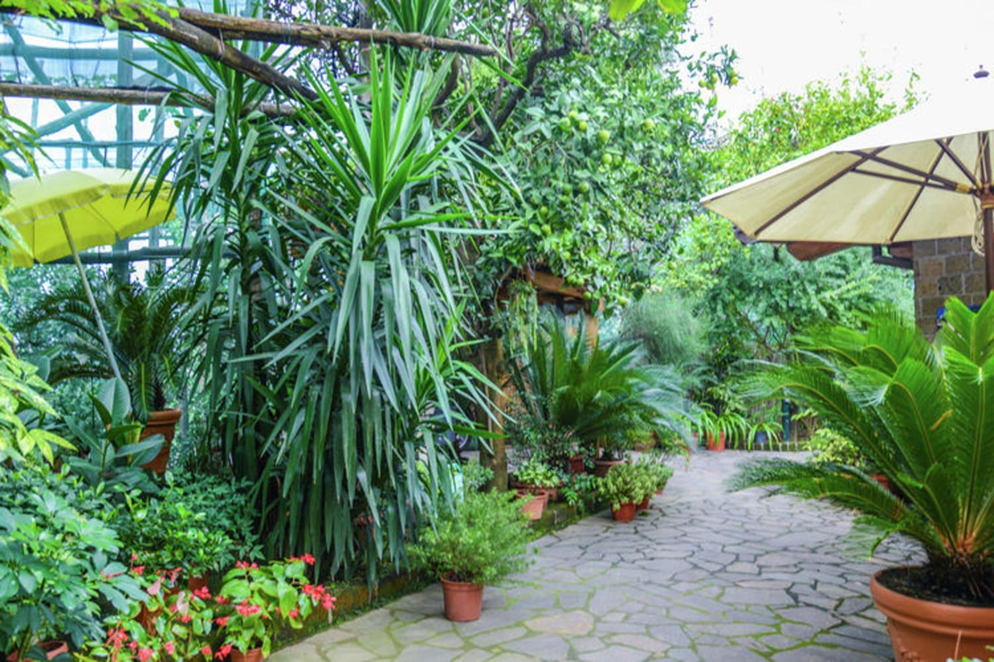 Apartamento Cosy In - 35 M² With Sea View *